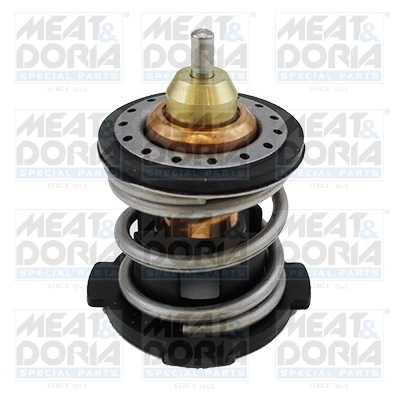 Thermostat, coolant